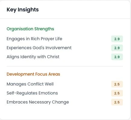 Key insights for the organisation