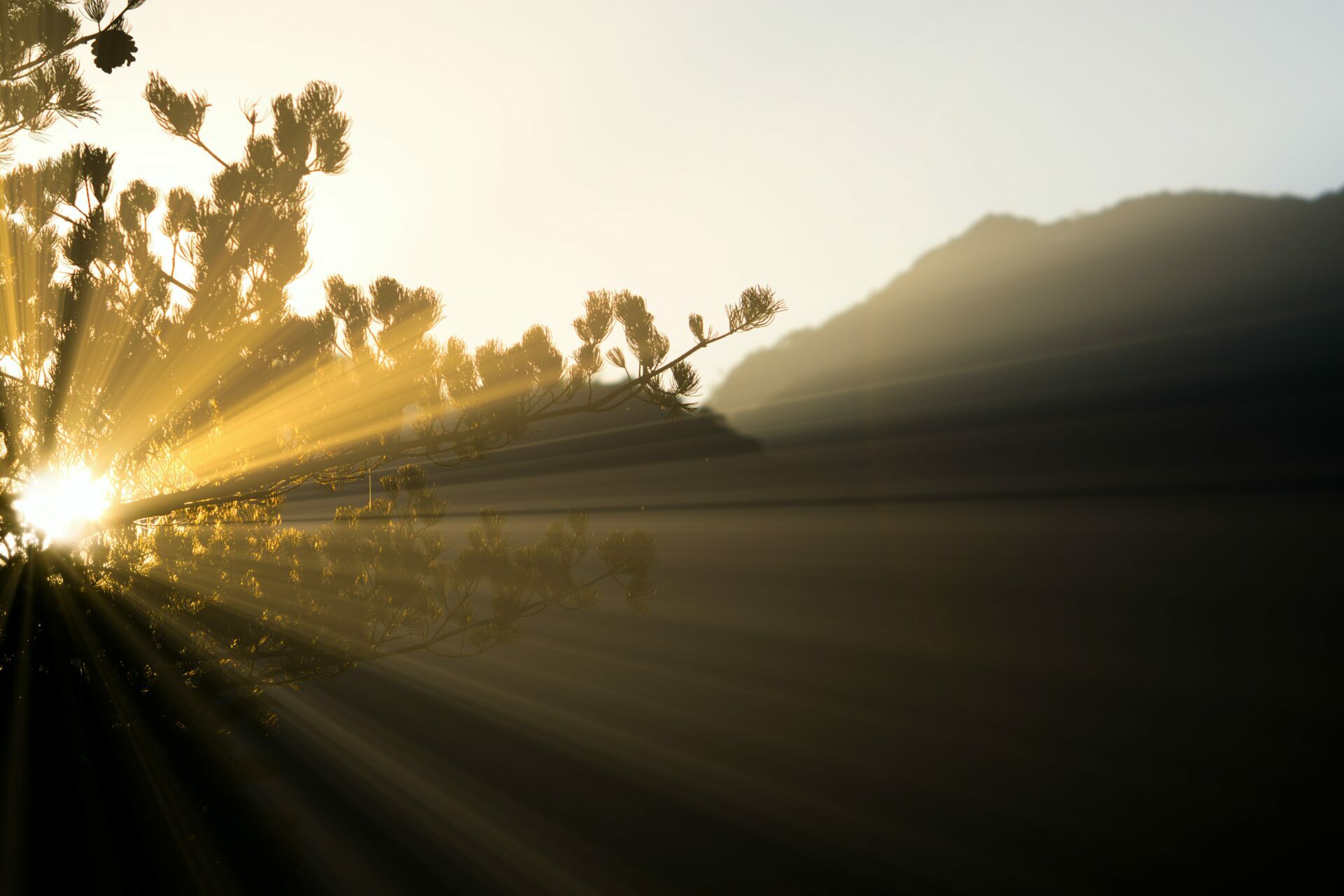 Featured image for “When Life is overwhelming”