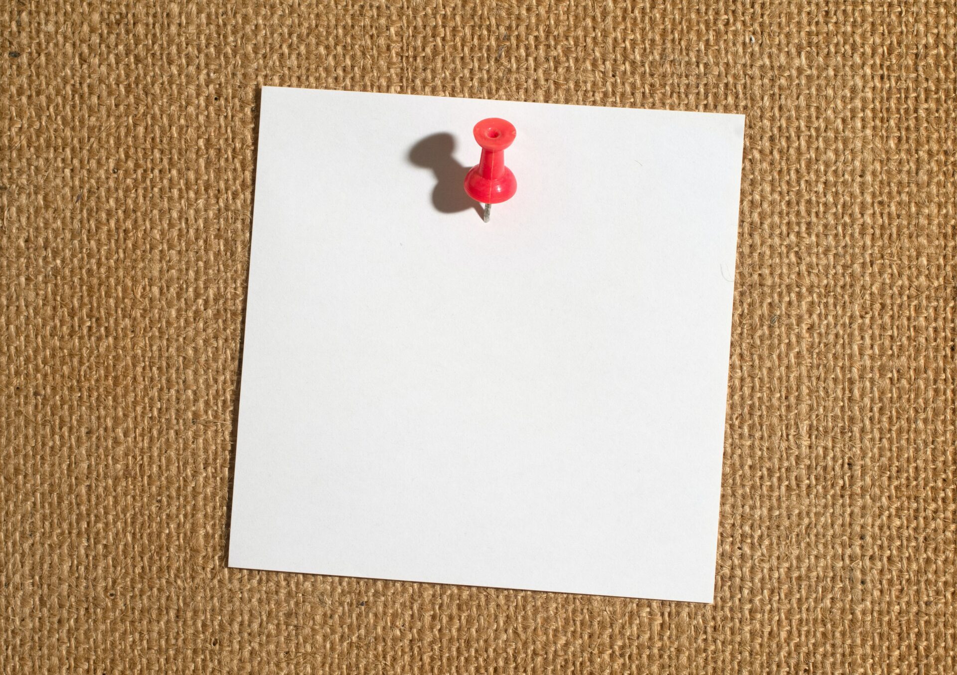 Featured image for “How to Build a Clear Picture of Your Mentee’s Reality”
