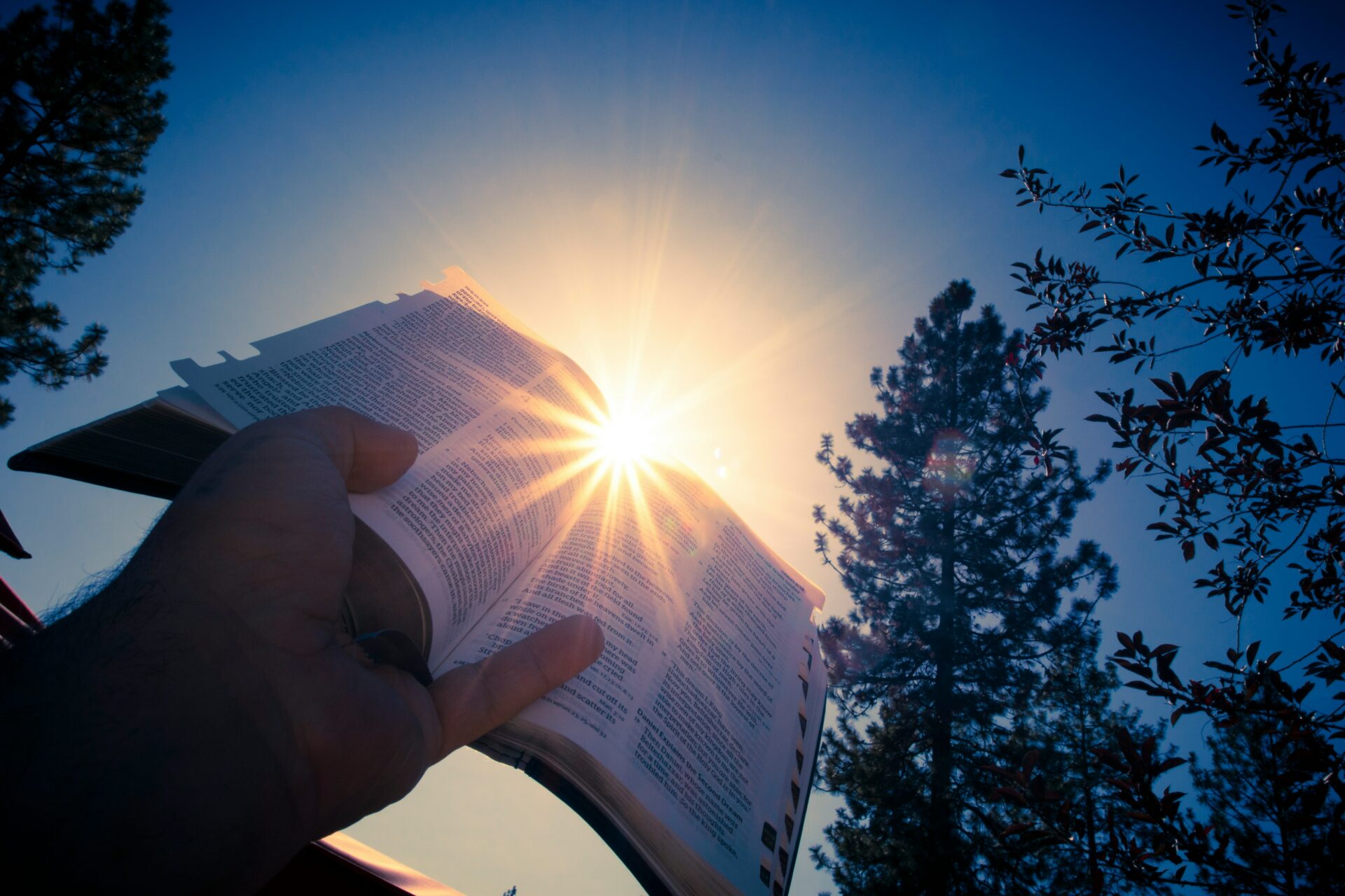 Featured image for “Four Questions to Help Understand what God Wants for You”