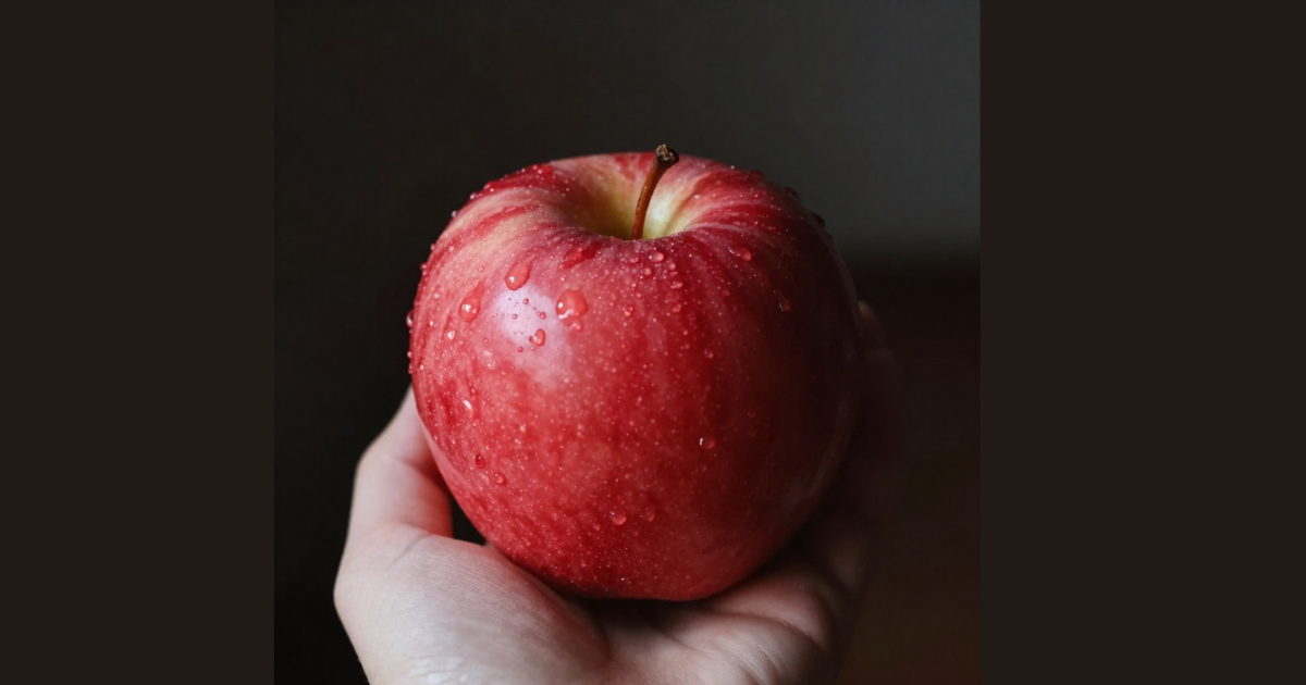 Featured image for "Aiding Transformation: Understanding Trials, Tests and Temptations"