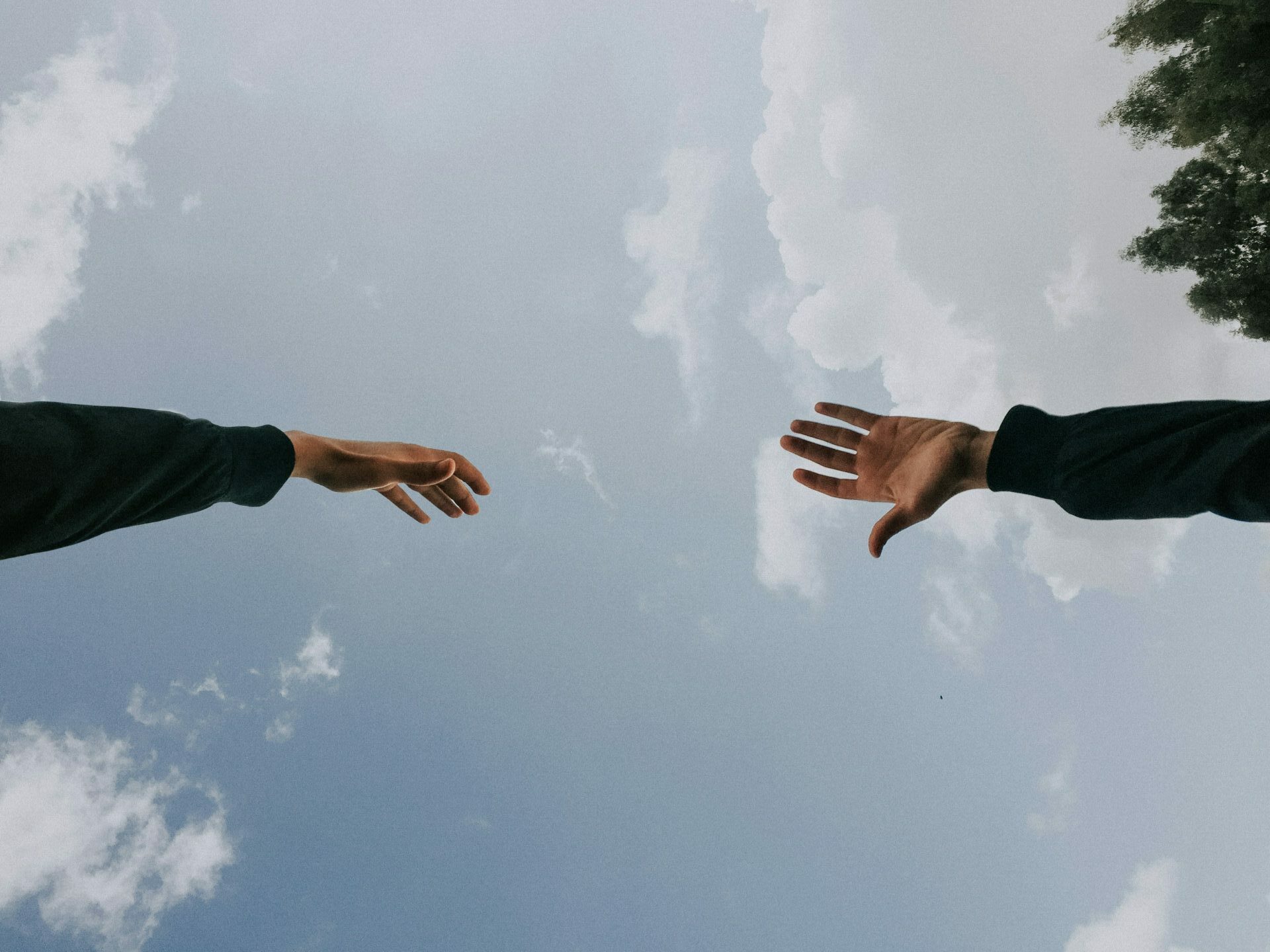 Featured image for "Common Threads and Competencies: Coaching, Mentoring, Professional Supervision and Organisational Consultation"